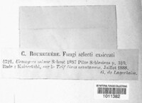 Image Associated With the Occurence